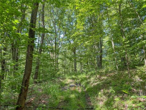0 Twp Road 366 Marietta OH 45773