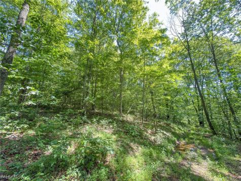 0 Twp Road 366 Marietta OH 45773