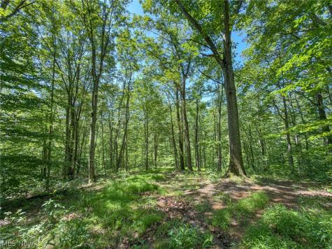 0 Twp Road 366 Marietta OH 45773