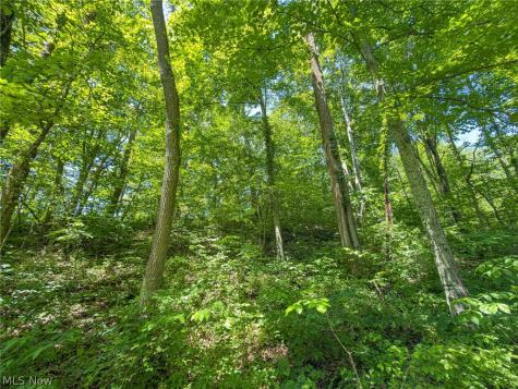 0 Twp Road 366 Marietta OH 45773