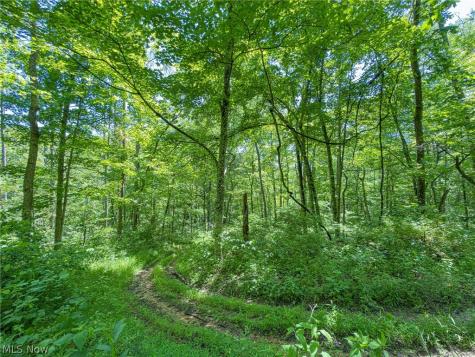 0 Twp Road 366 Marietta OH 45773