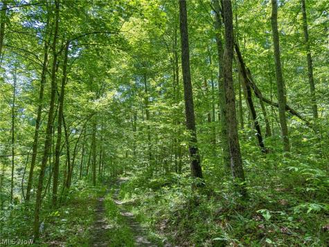 0 Twp Road 366 Marietta OH 45773