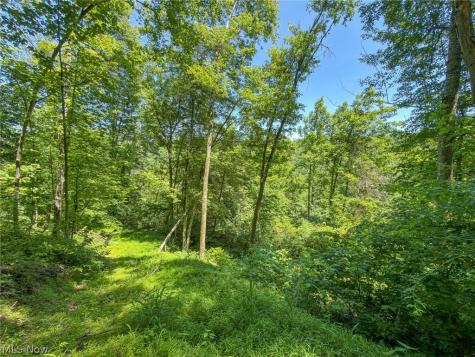 0 Twp Road 366 Marietta OH 45773