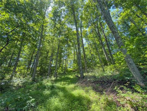 0 Twp Road 366 Marietta OH 45773