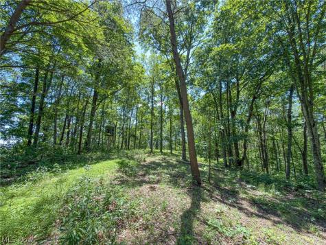 0 Twp Road 366 Marietta OH 45773