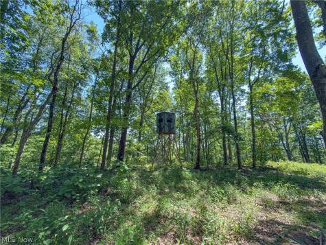 0 Twp Road 366 Marietta OH 45773