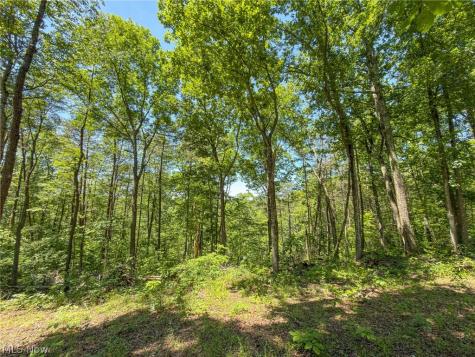 0 Twp Road 366 Marietta OH 45773