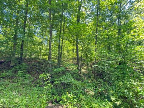 0 Twp Road 366 Marietta OH 45773