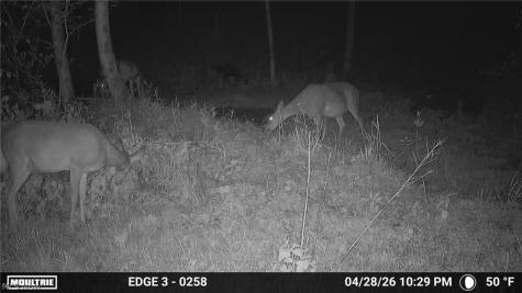 0 Twp Road 366 Marietta OH 45773