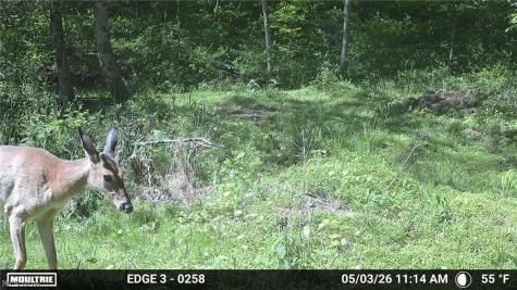 0 Twp Road 366 Marietta OH 45773