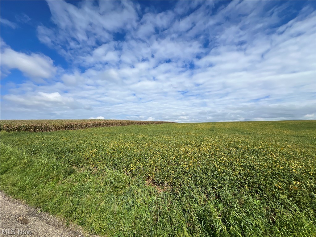 Trail 463 Loudonville OH 44842