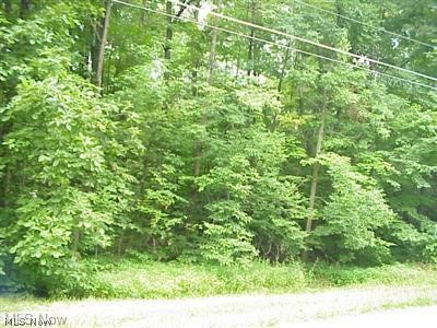 Maderia Drive West Salem OH 44287