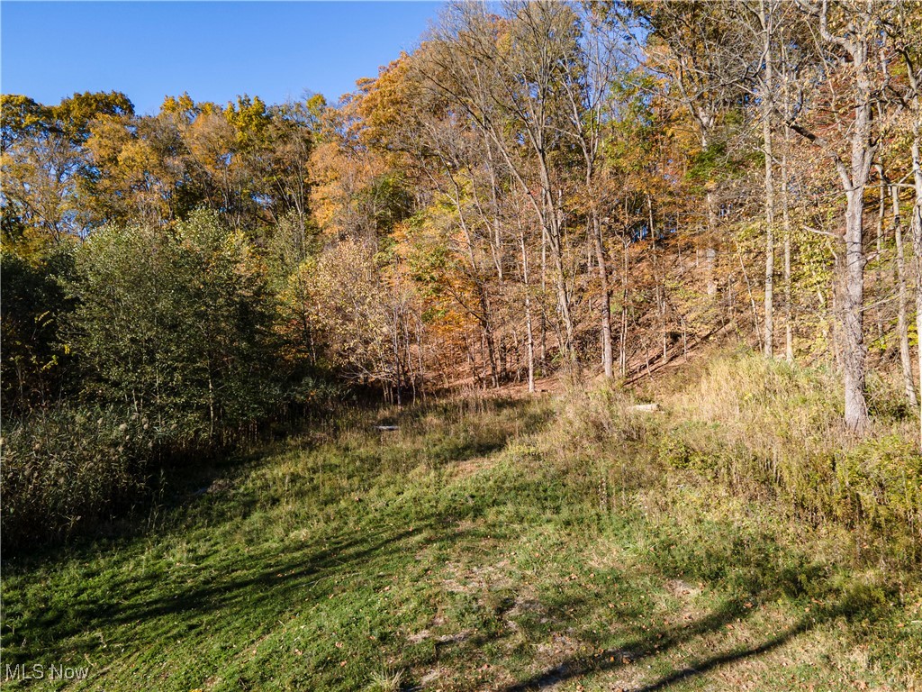 3339 Yellow Creek Road Bath OH 44333