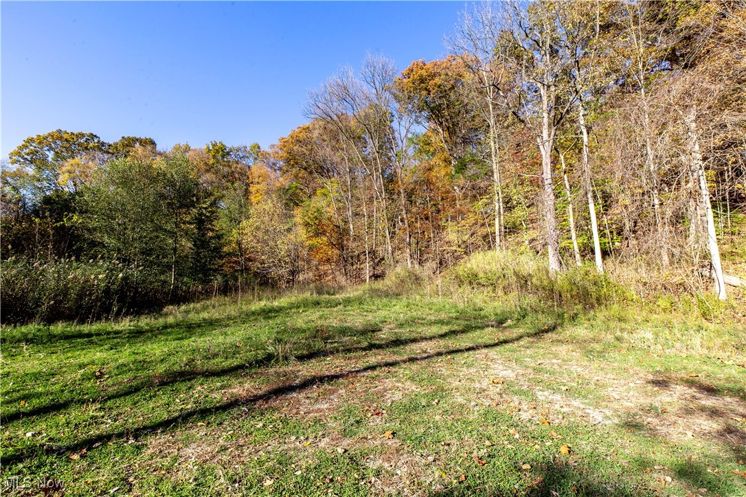 3339 Yellow Creek Road Bath OH 44333