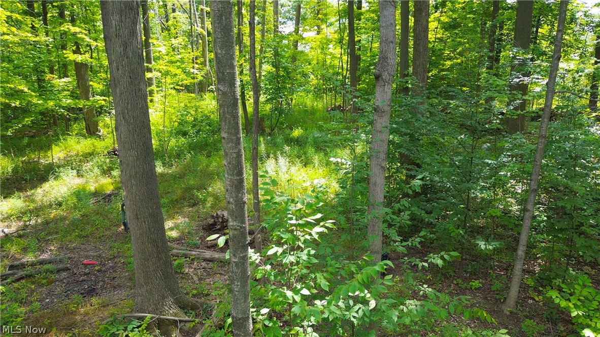 1151 Laurel Drive West Salem OH 44287