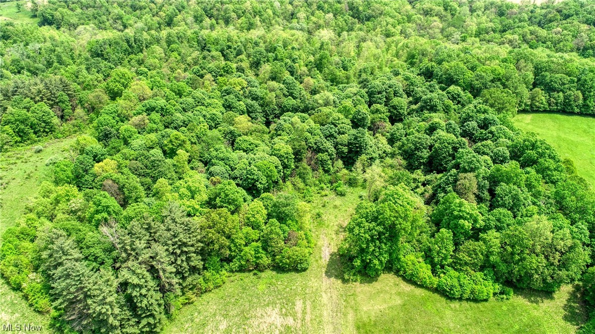 63720 Wintergreen Road Lore City OH 43755