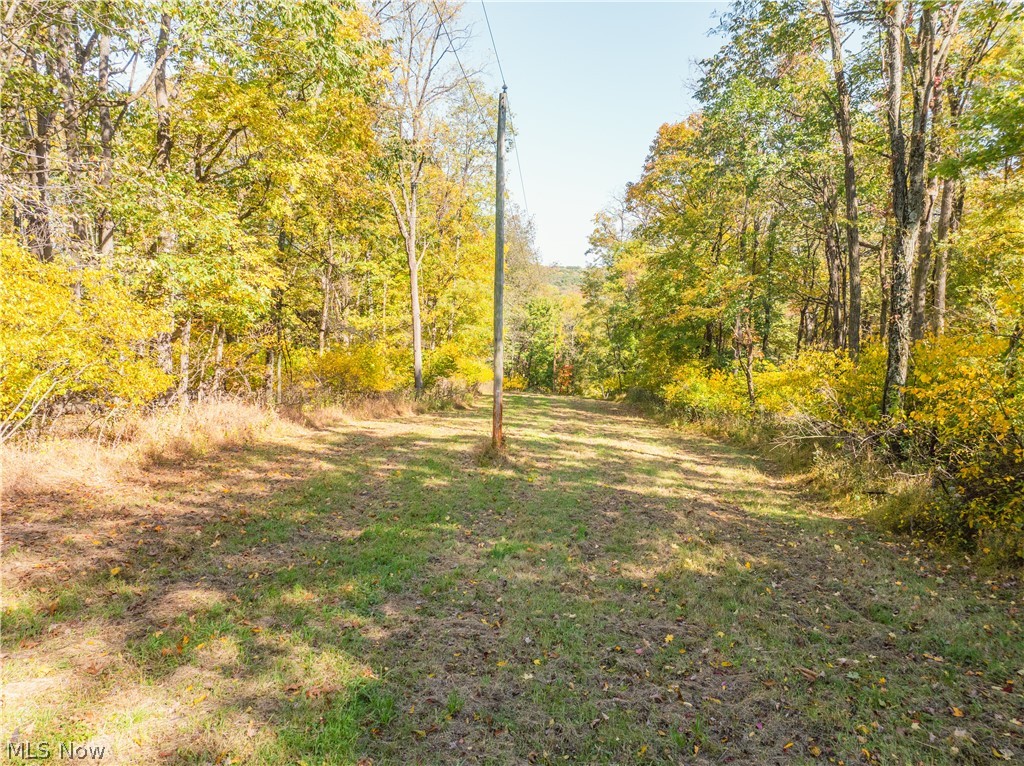 Trail 228 Glenmont OH 44628