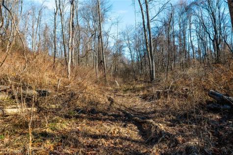 2535 Millersburg Road Wooster OH 44691