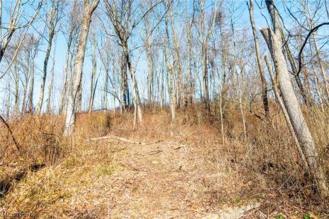 2535 Millersburg Road Wooster OH 44691