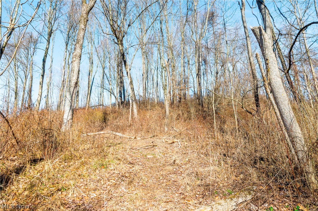 2535 Millersburg Road Wooster OH 44691