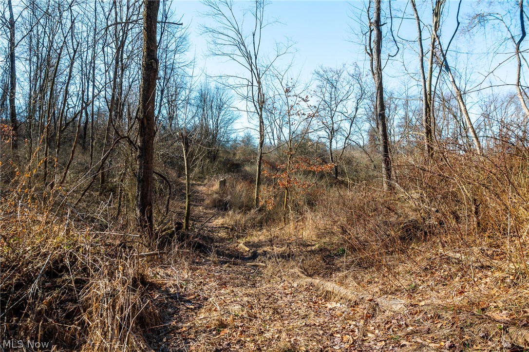 2535 Millersburg Road Wooster OH 44691