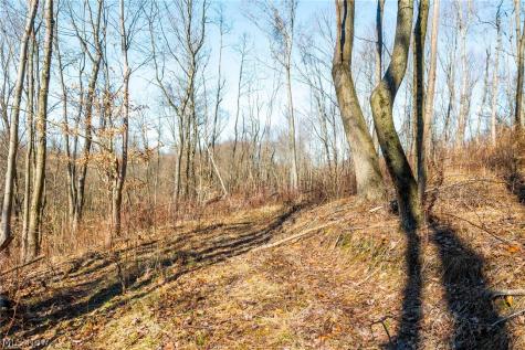 2535 Millersburg Road Wooster OH 44691