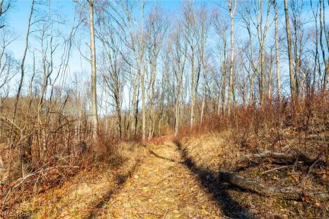 2535 Millersburg Road Wooster OH 44691