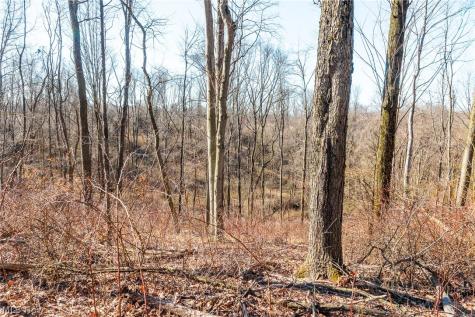 2535 Millersburg Road Wooster OH 44691