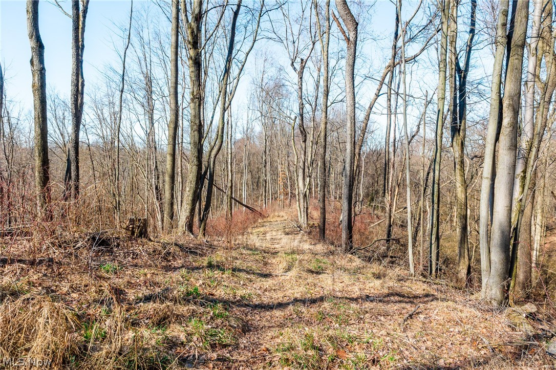 2535 Millersburg Road Wooster OH 44691