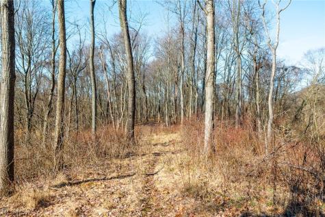2535 Millersburg Road Wooster OH 44691