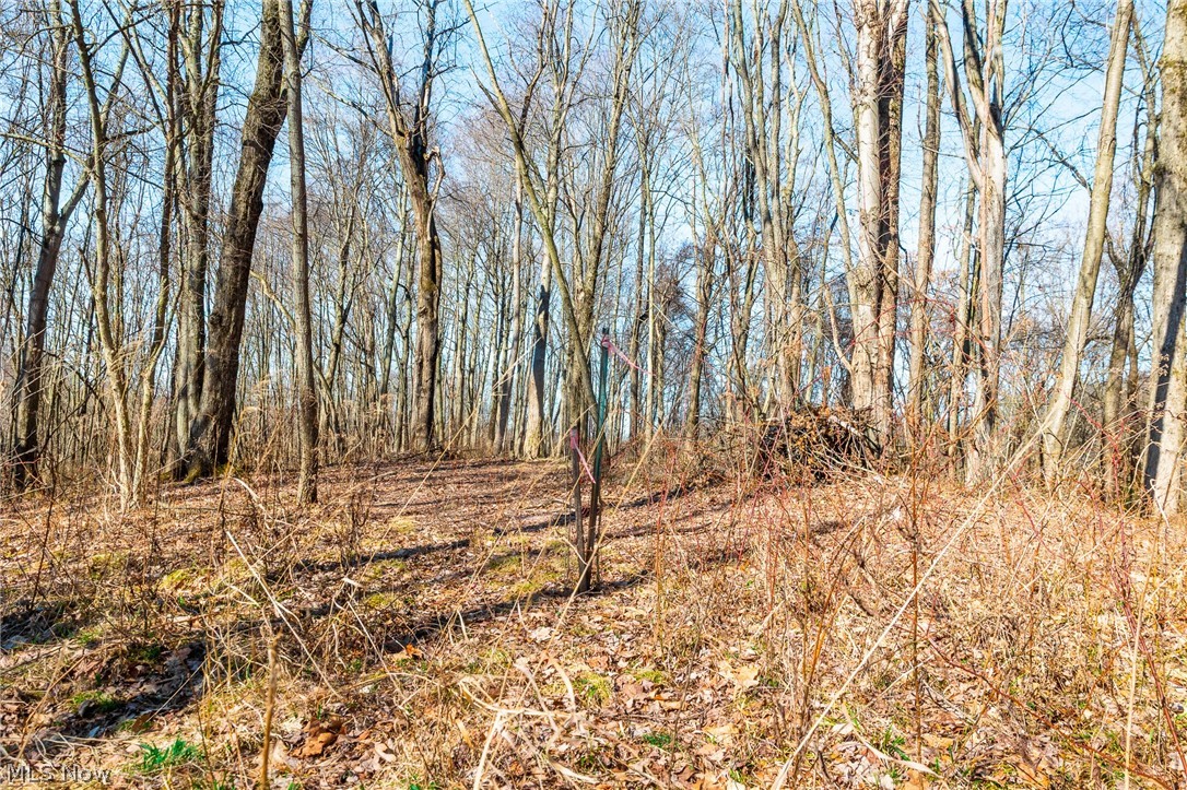 2535 Millersburg Road Wooster OH 44691