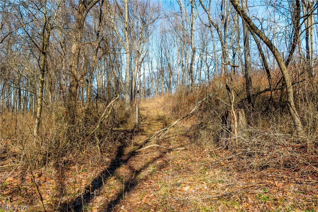2535 Millersburg Road Wooster OH 44691