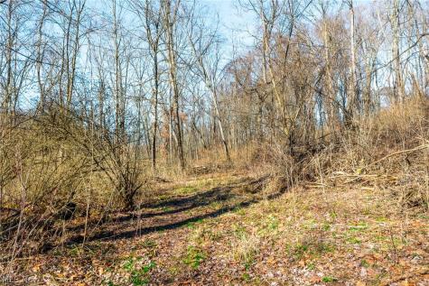 2535 Millersburg Road Wooster OH 44691