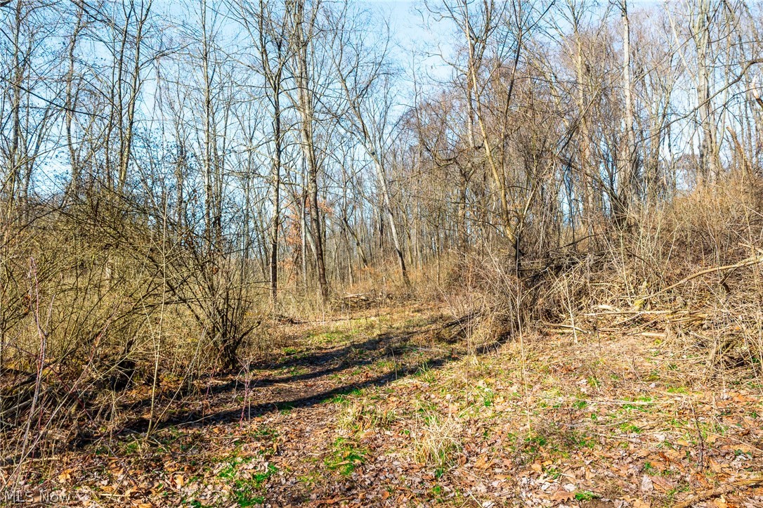 2535 Millersburg Road Wooster OH 44691
