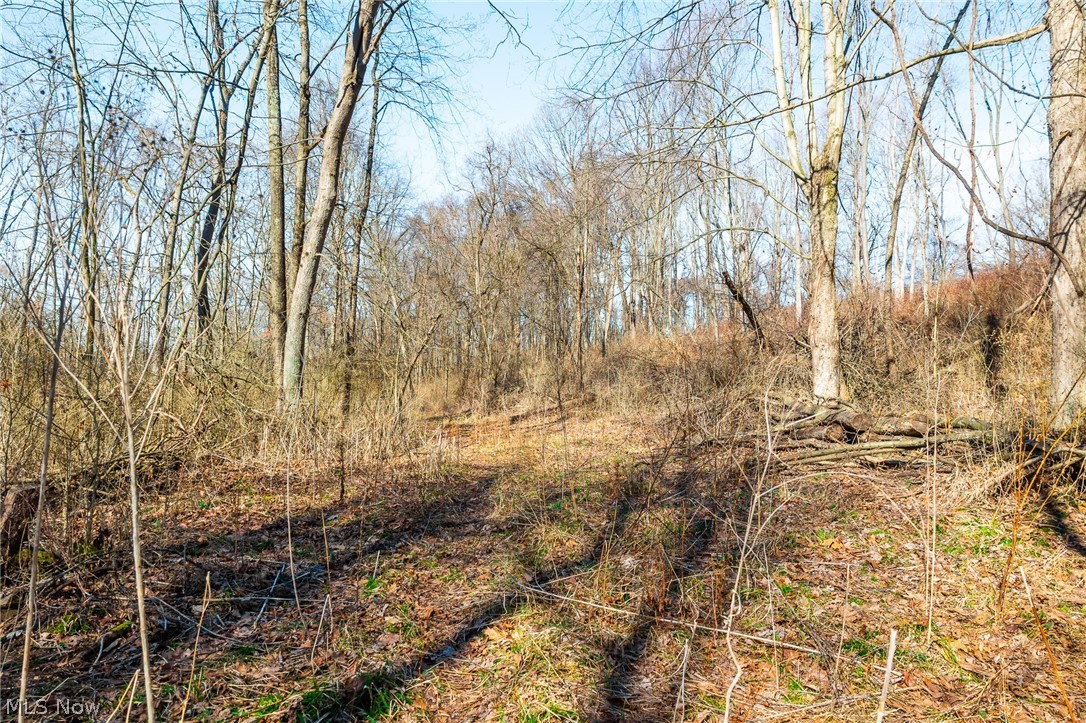 2535 Millersburg Road Wooster OH 44691