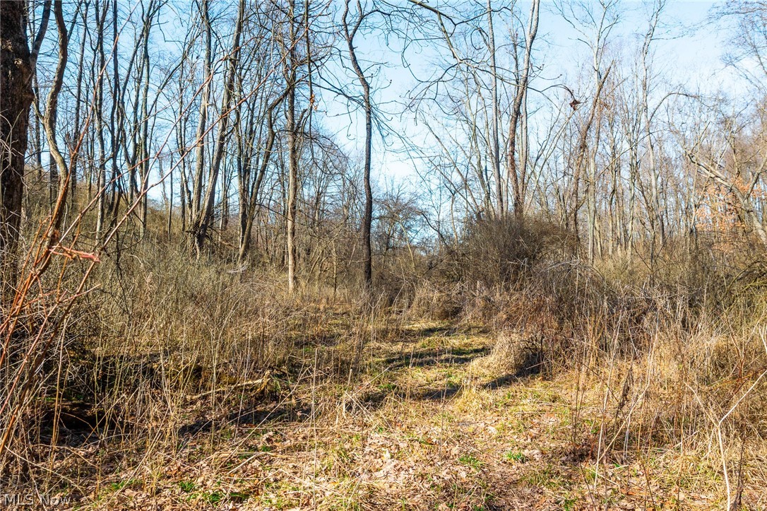 2535 Millersburg Road Wooster OH 44691