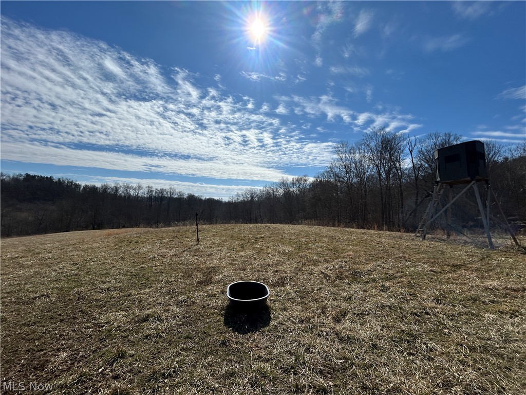 Ridgeview Lane Blue Rock OH 43727