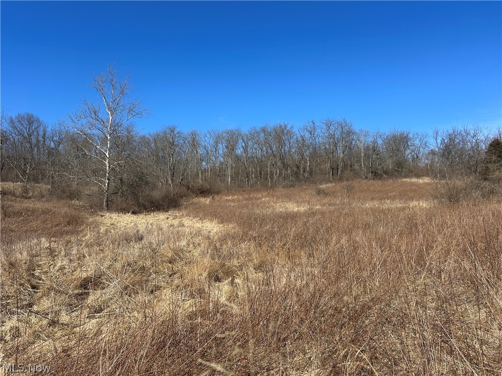 Ridgeview Lane Blue Rock OH 43727