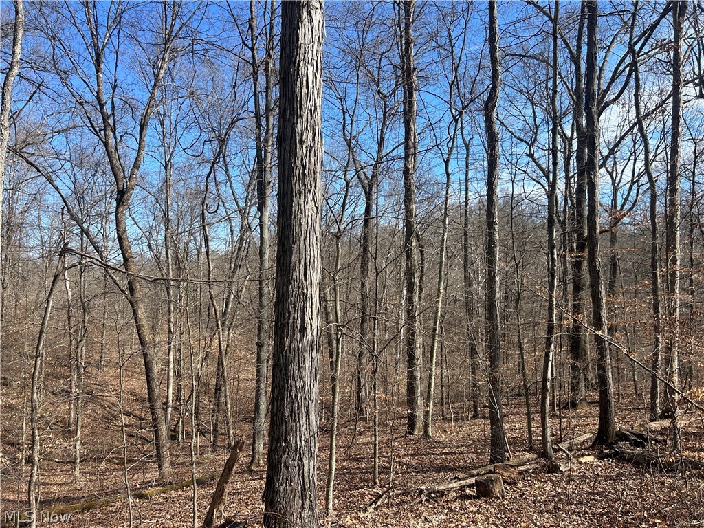 Ridgeview Lane Blue Rock OH 43727