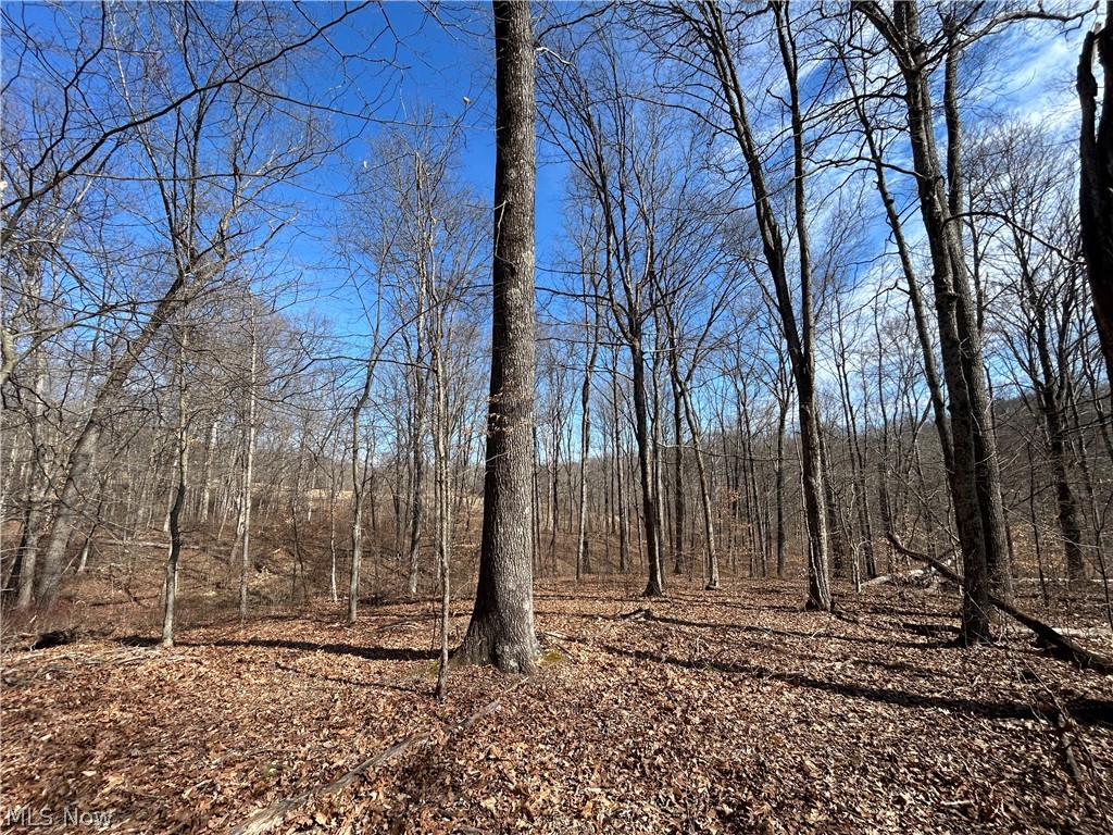 Ridgeview Lane Blue Rock OH 43727
