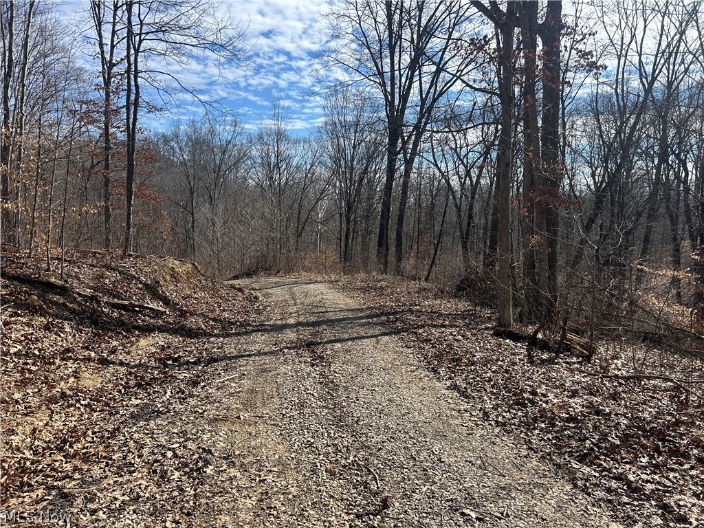 Ridgeview Lane Blue Rock OH 43727