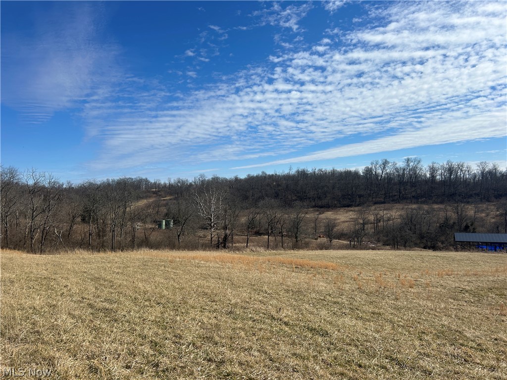 Ridgeview Lane Blue Rock OH 43727