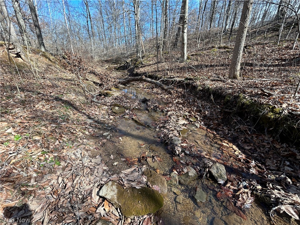 Ridgeview Lane Blue Rock OH 43727
