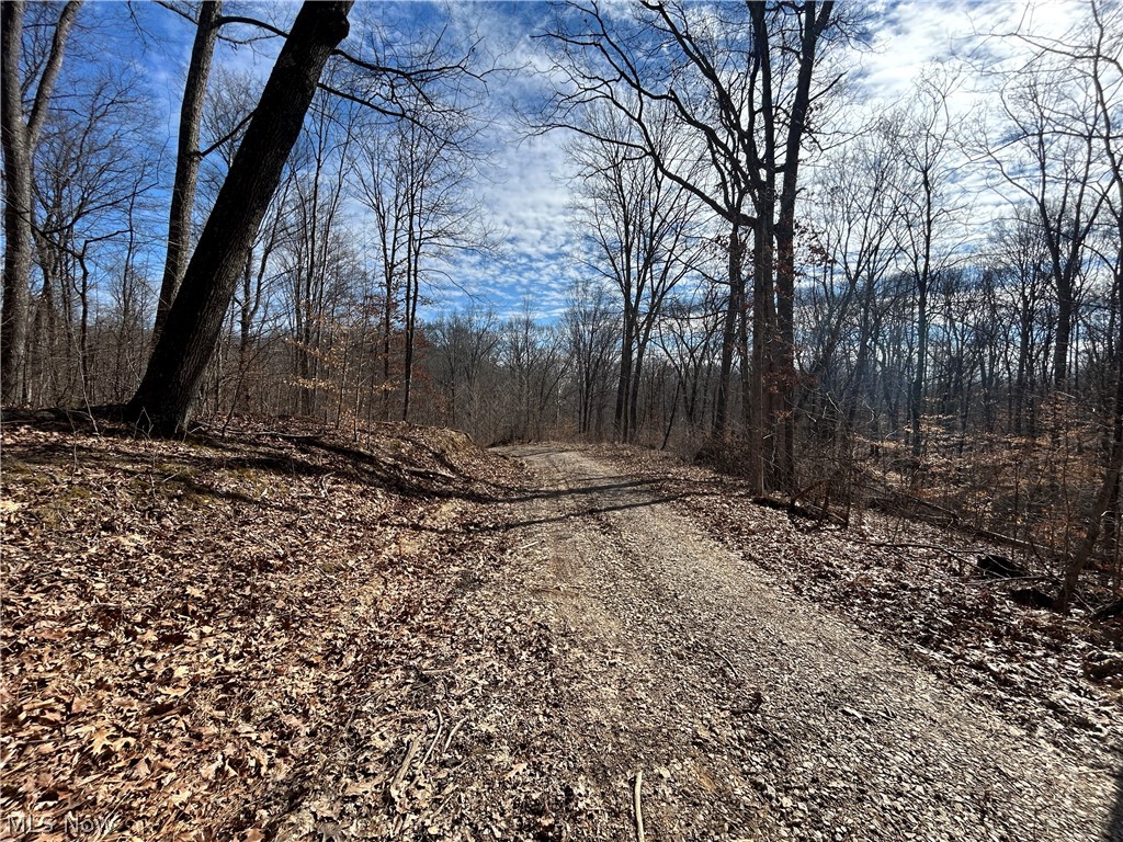 Ridgeview Lane Blue Rock OH 43727