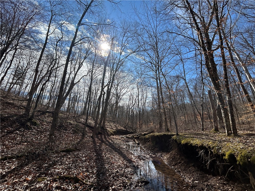Ridgeview Lane Blue Rock OH 43727