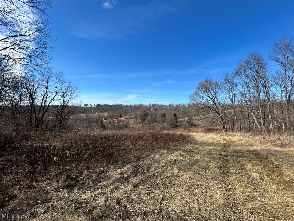 Ridgeview Lane Blue Rock OH 43727