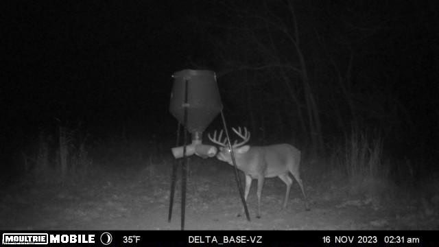 Ridgeview Lane Blue Rock OH 43727