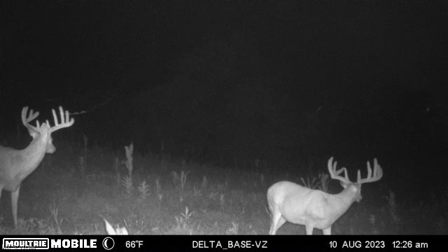 Ridgeview Lane Blue Rock OH 43727
