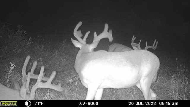 Ridgeview Lane Blue Rock OH 43727