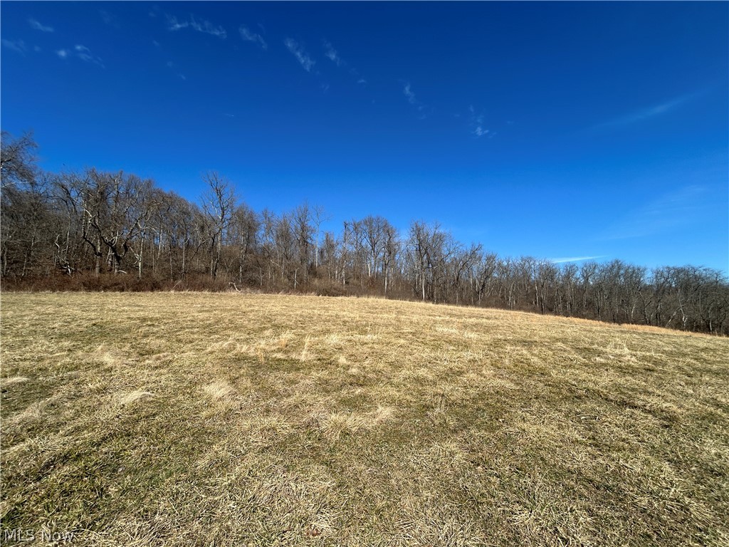 Ridgeview Lane Blue Rock OH 43727